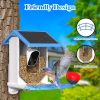 Smart Bird Feeder with Camera,Solar-Powered WiFi 4MP Live Camera,AI Identify Bird Species Auto Capture Backyard Garden Bird Watching&Motion Detection,