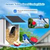 Smart Bird Feeder with Camera,Solar-Powered WiFi 4MP Live Camera,AI Identify Bird Species Auto Capture Backyard Garden Bird Watching&Motion Detection,